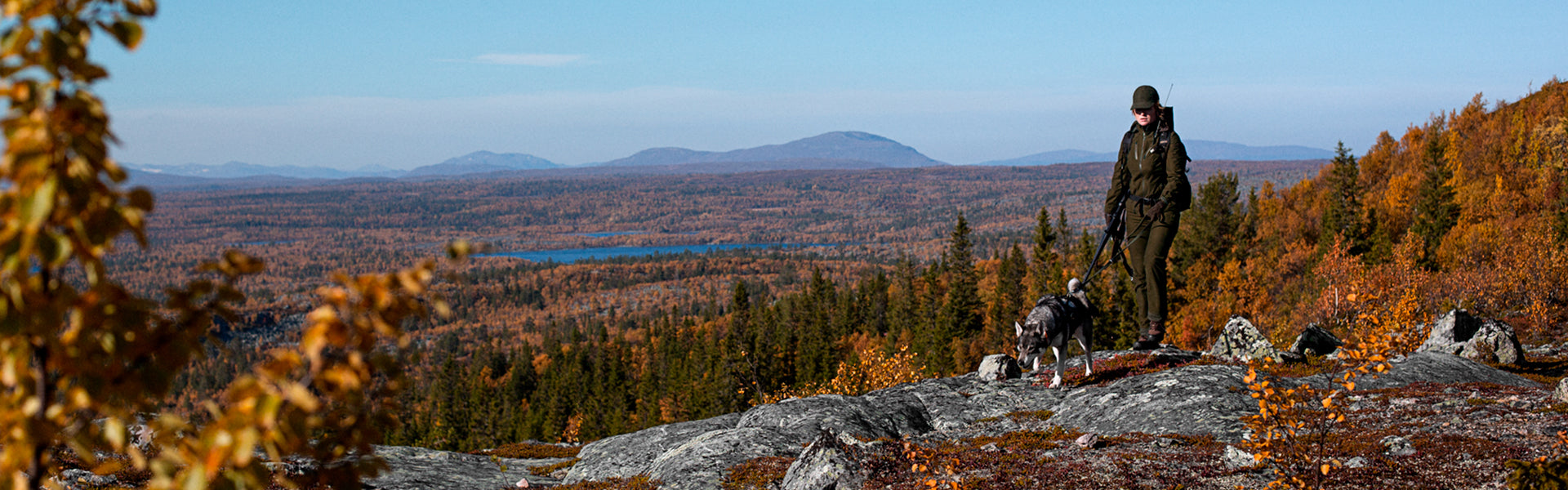High Seat Hunting
