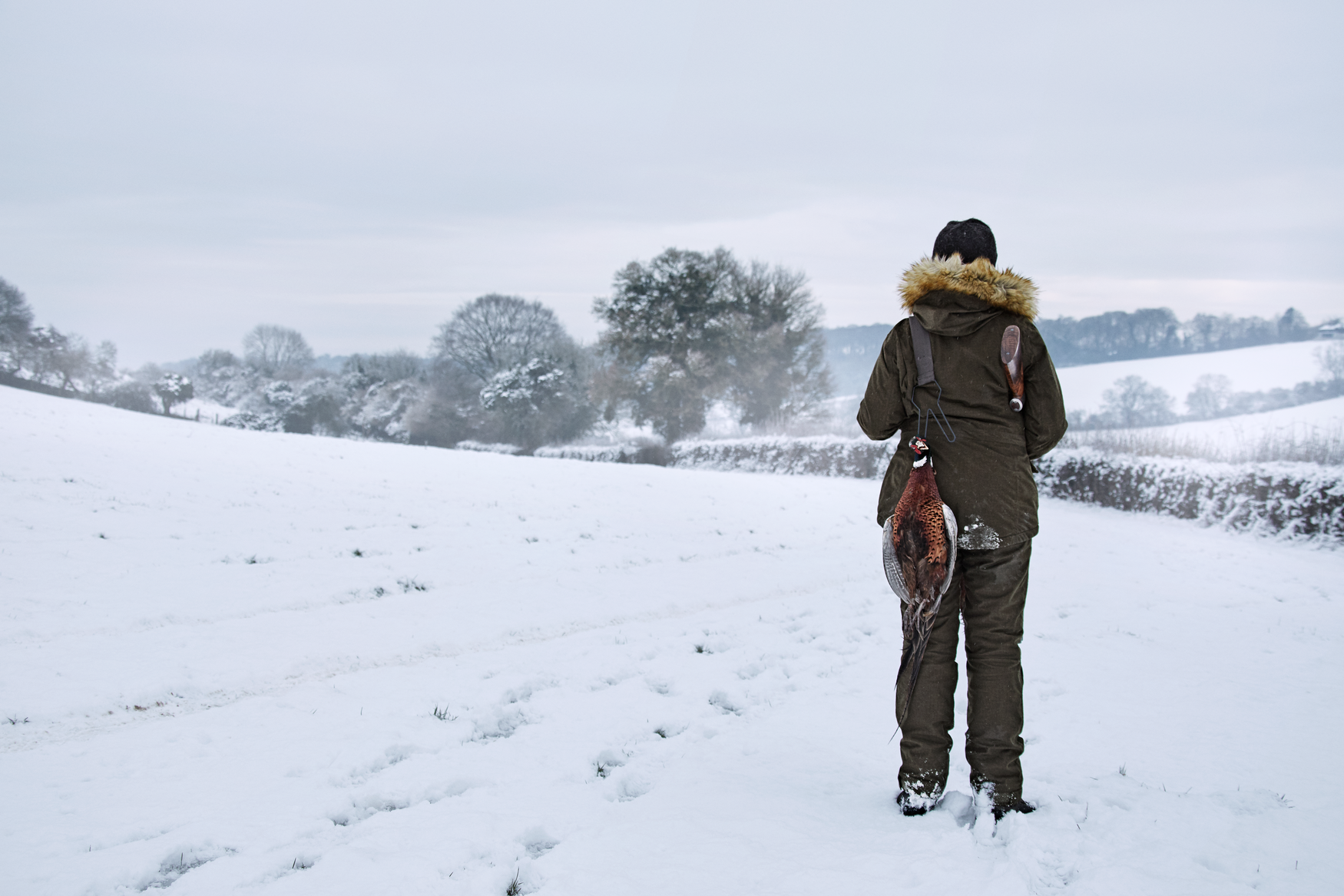 Veste North Lady - Pine green