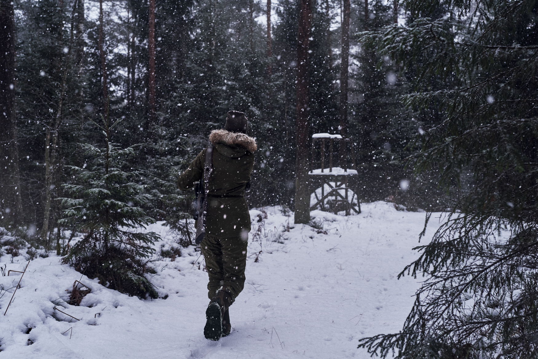 North Lady jacket - Pine green