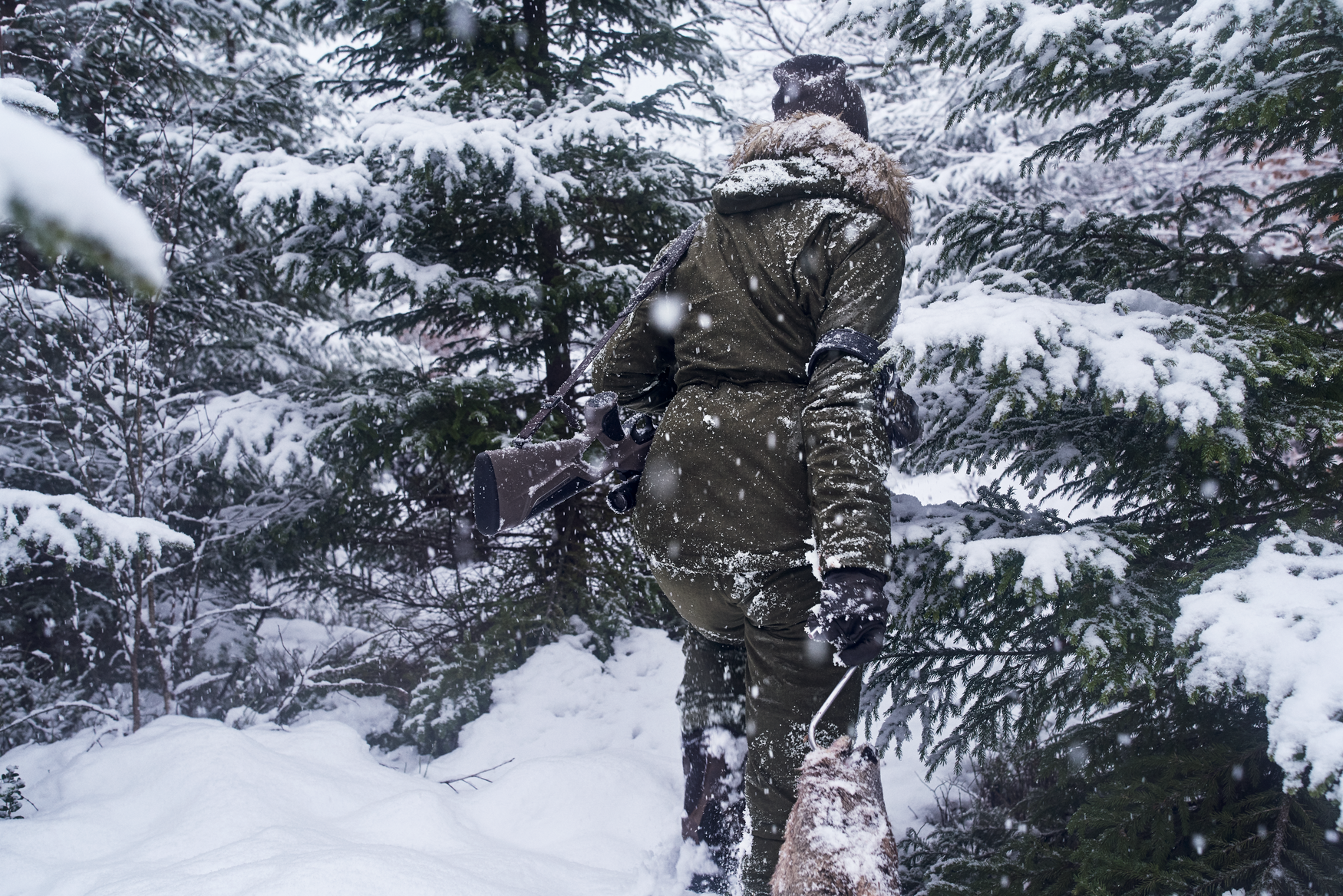 North Lady jacket - Pine green