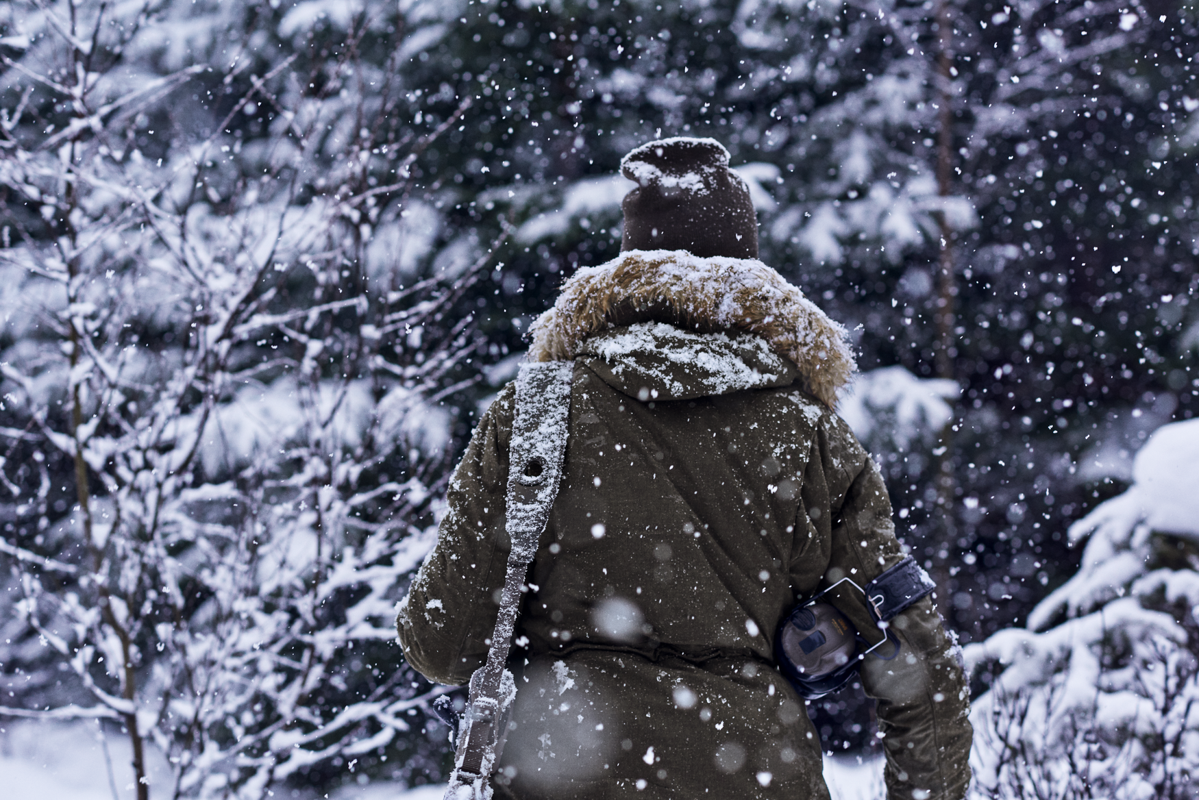 Veste North Lady - Pine green