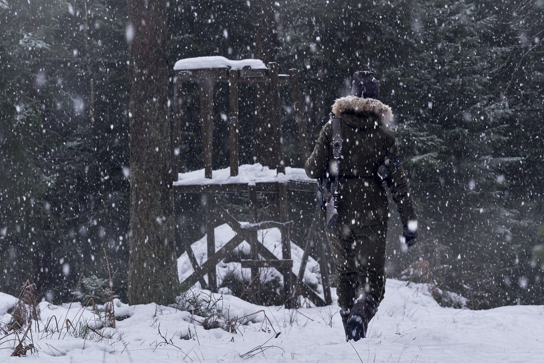 Veste North Lady - Pine green