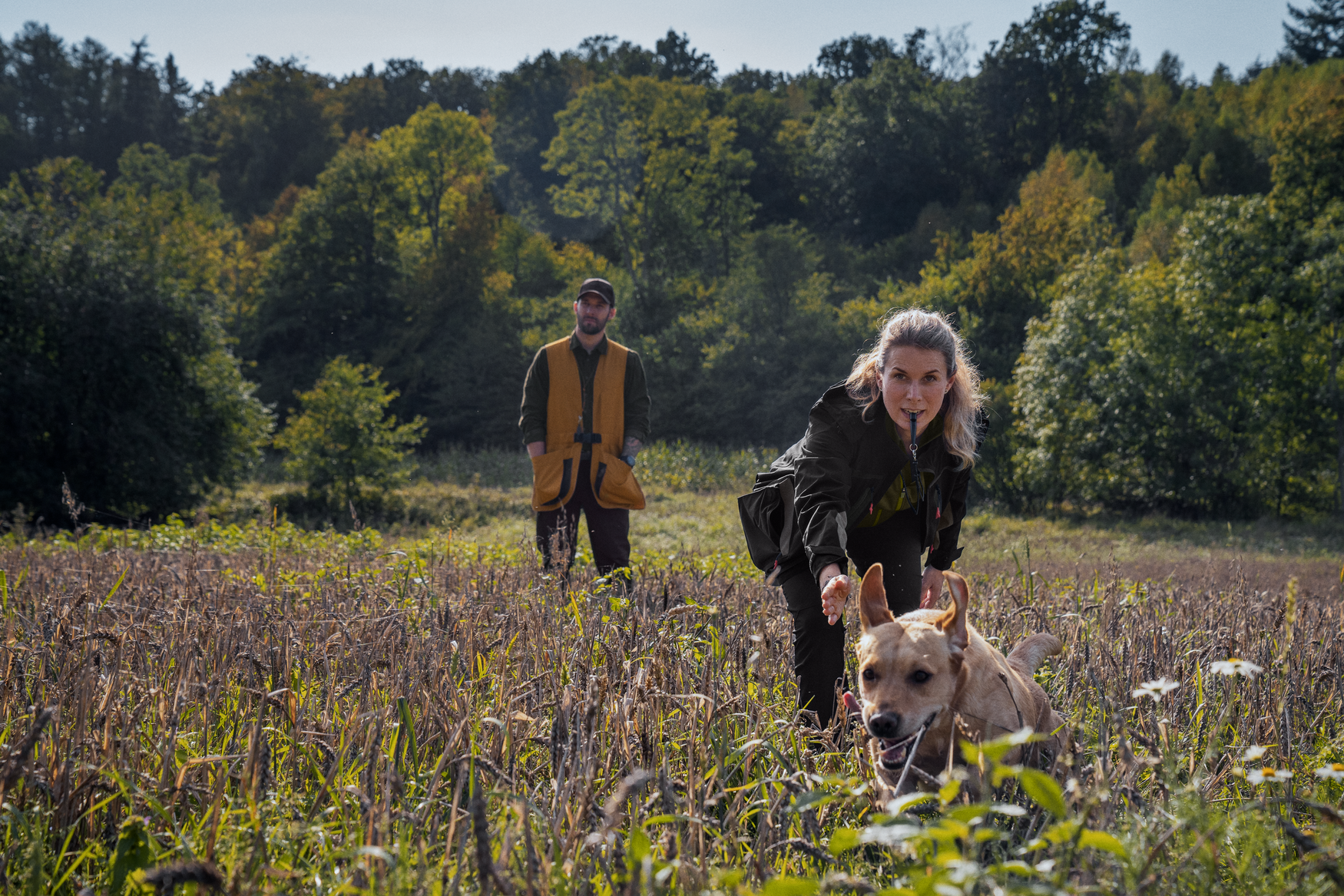 Dog Active jacket Women - Meteorite