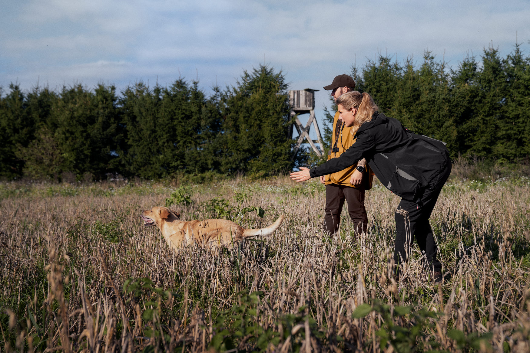 Dog Active jacket Women - Meteorite