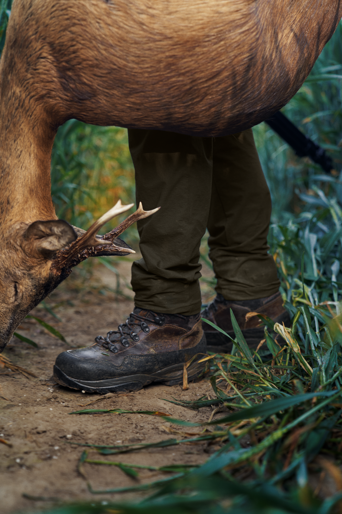 Trail bukser Women - Willow green