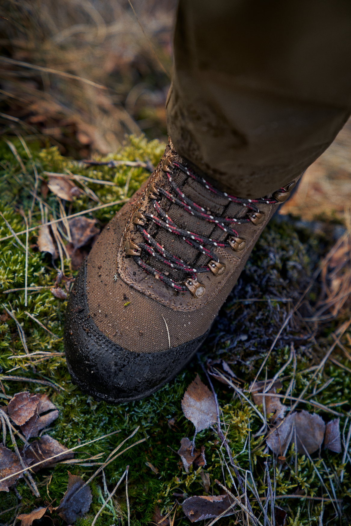 Wildwood 2.0 GTX Women - Mid brown