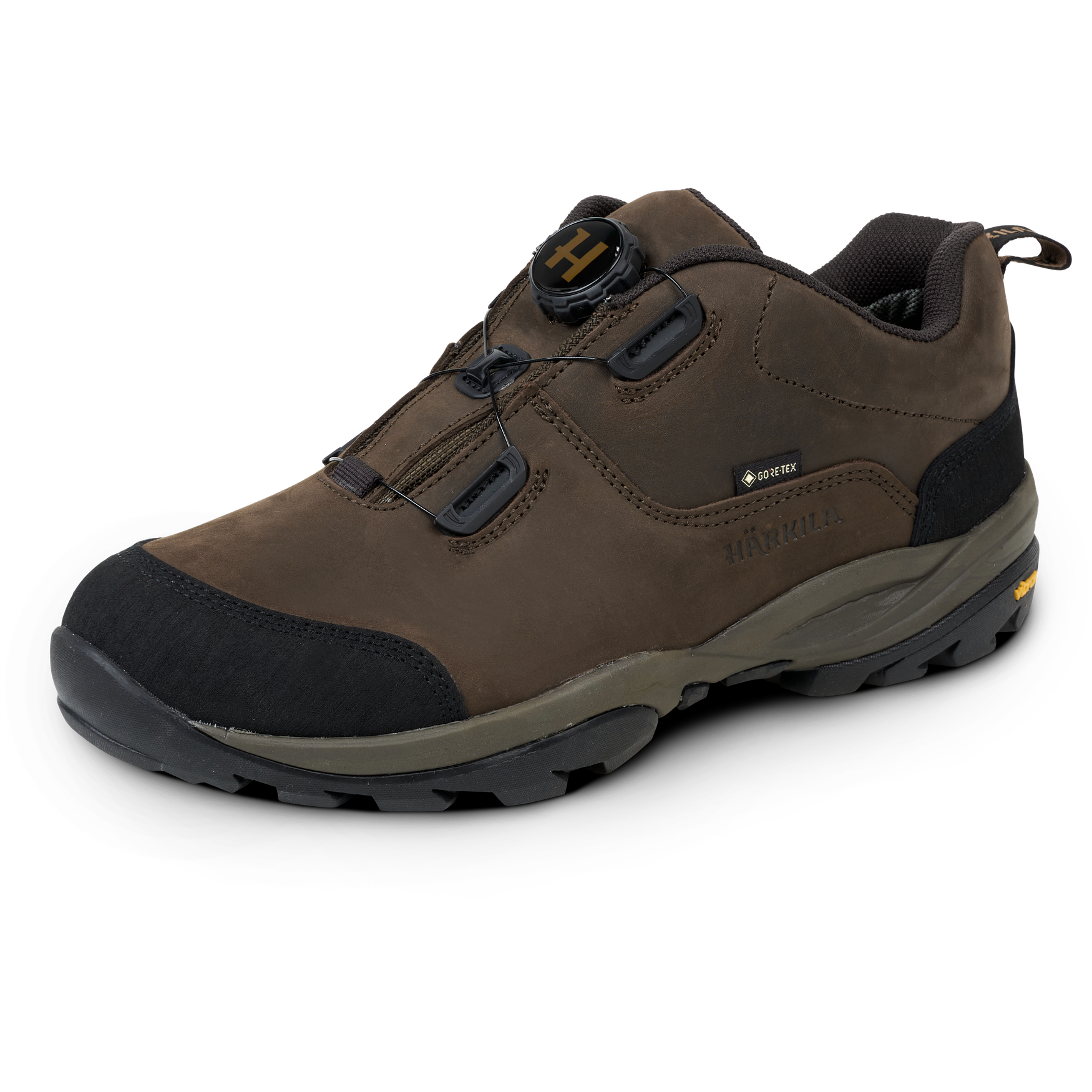 Reidmar Low GTX - Dark brown