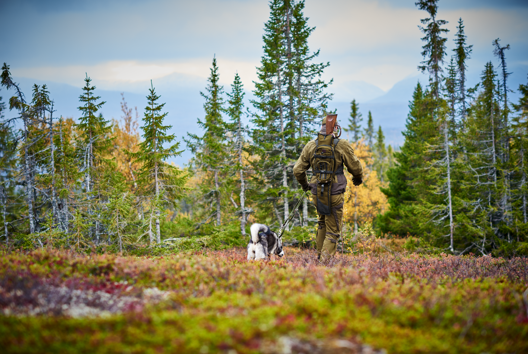 Sac à dos en laine melton Alta - Hunting green