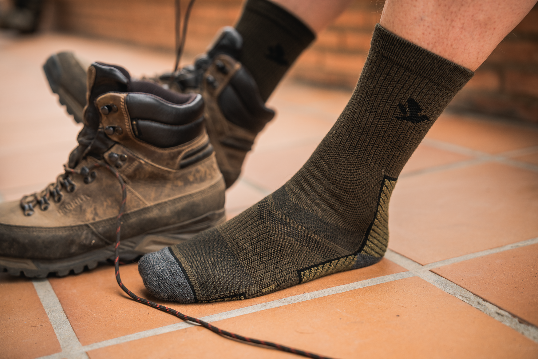 Field Merino-strømpe - 2Pack - Pine Green/Military Olive