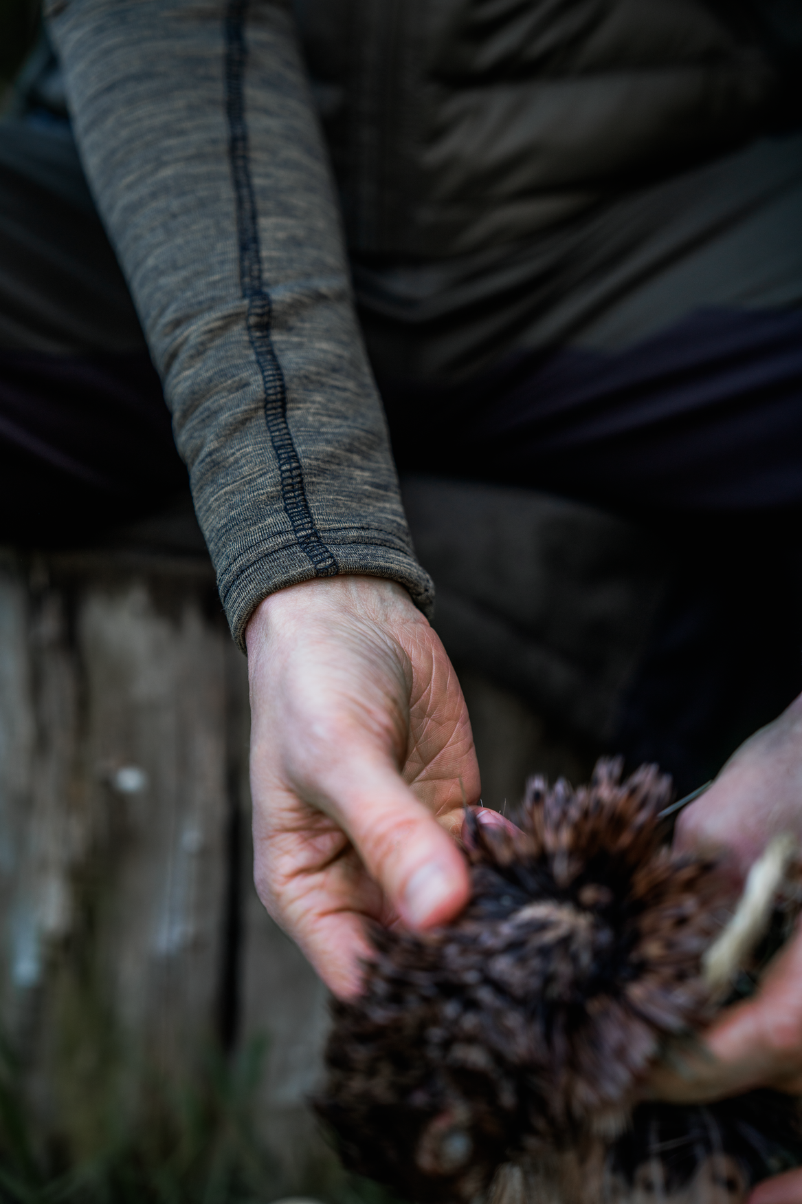 T-shirt Peak Aia - Military Olive Melange