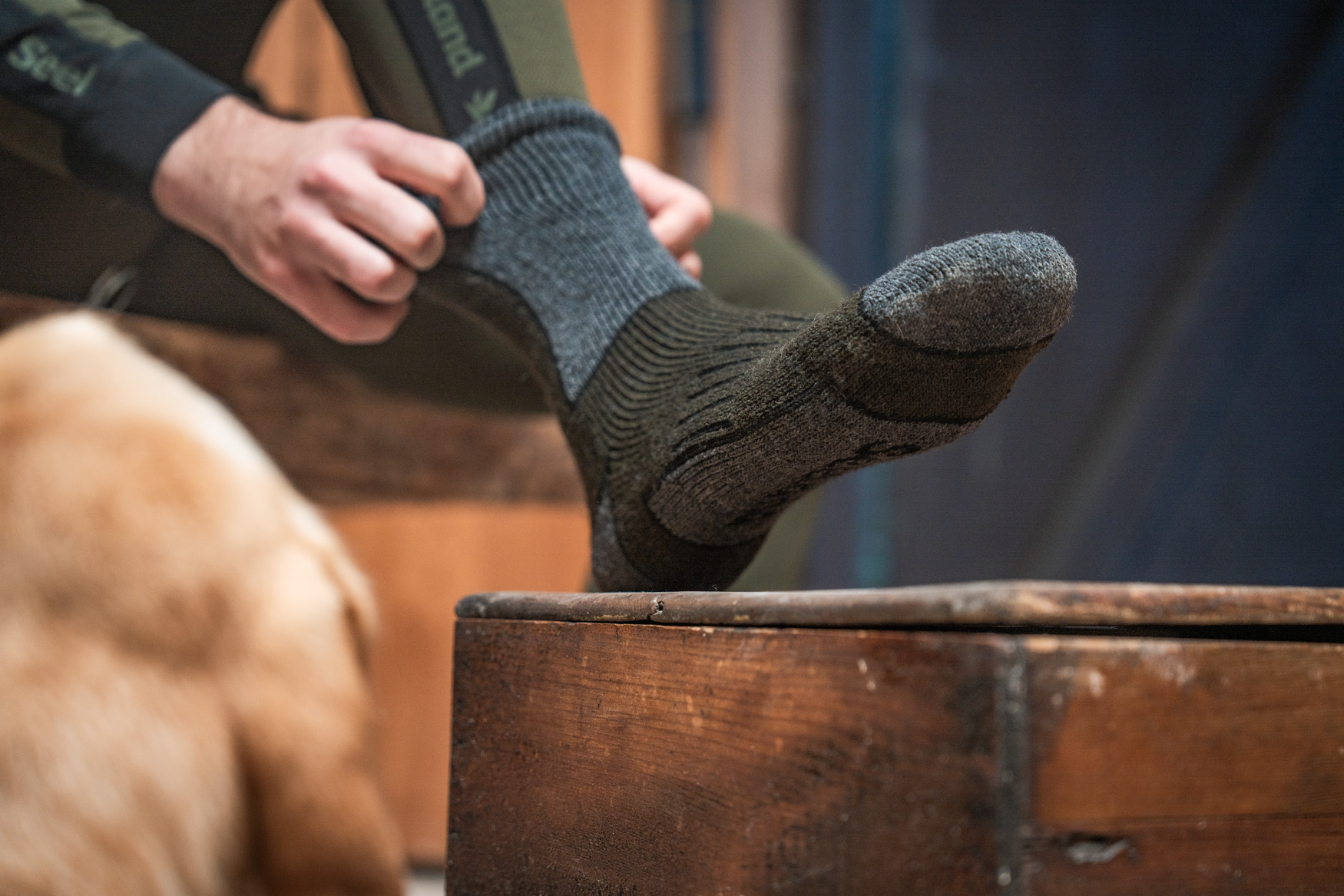 Field Thermo Sock - 2Pack - Pine Green Melange/Grey Melange