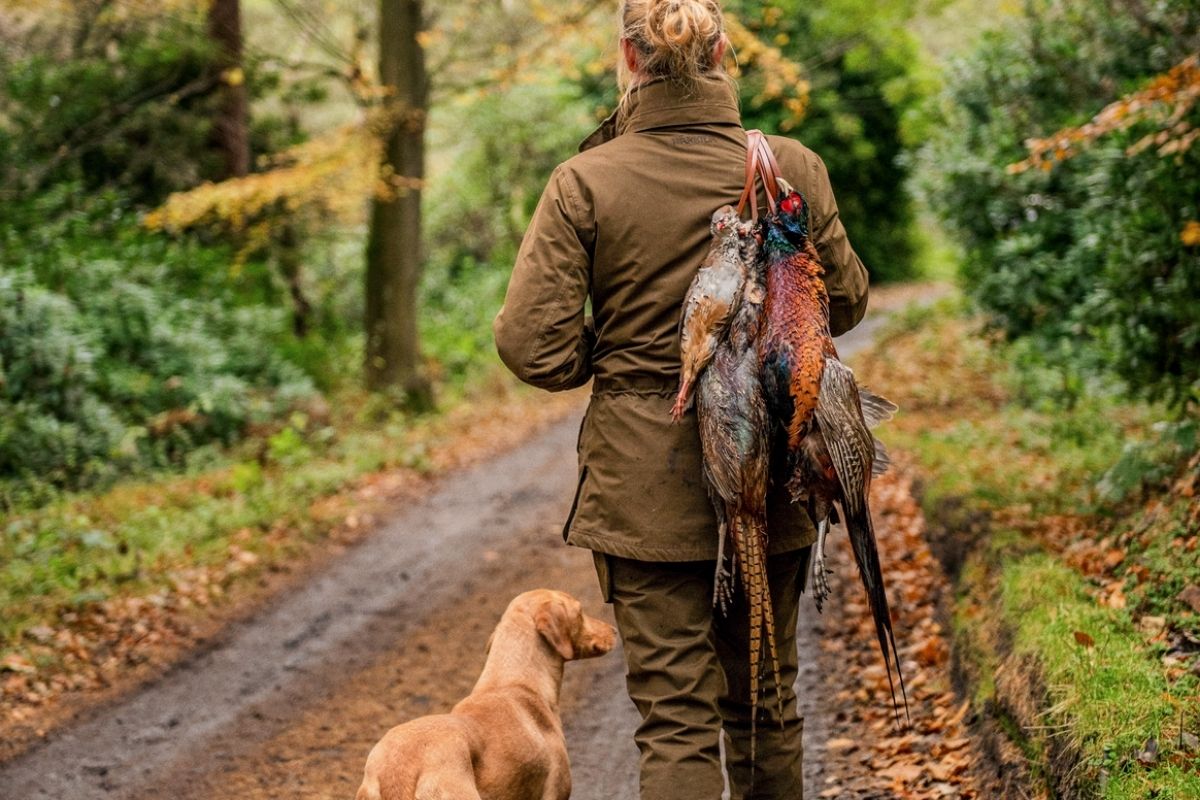 Maintaining your gundog's training