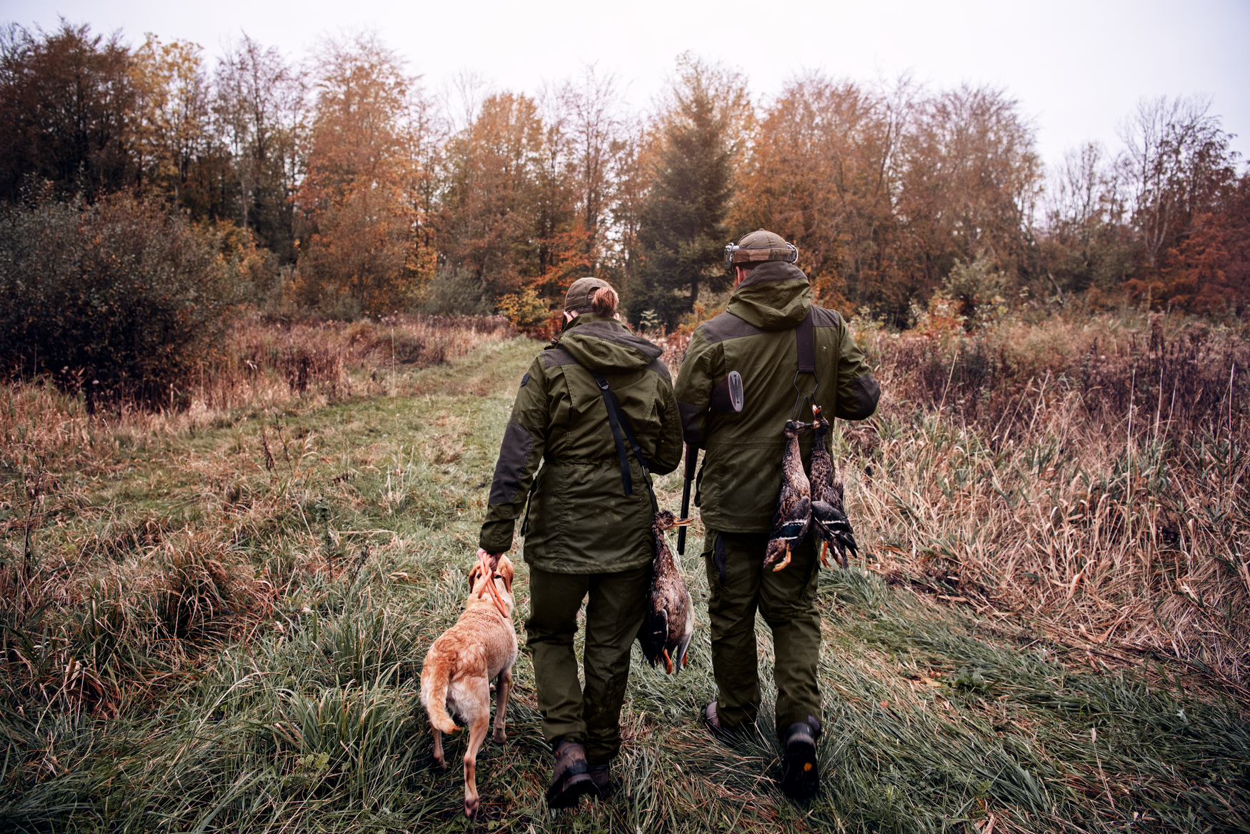 Key-Point Lady jacket - Pine green