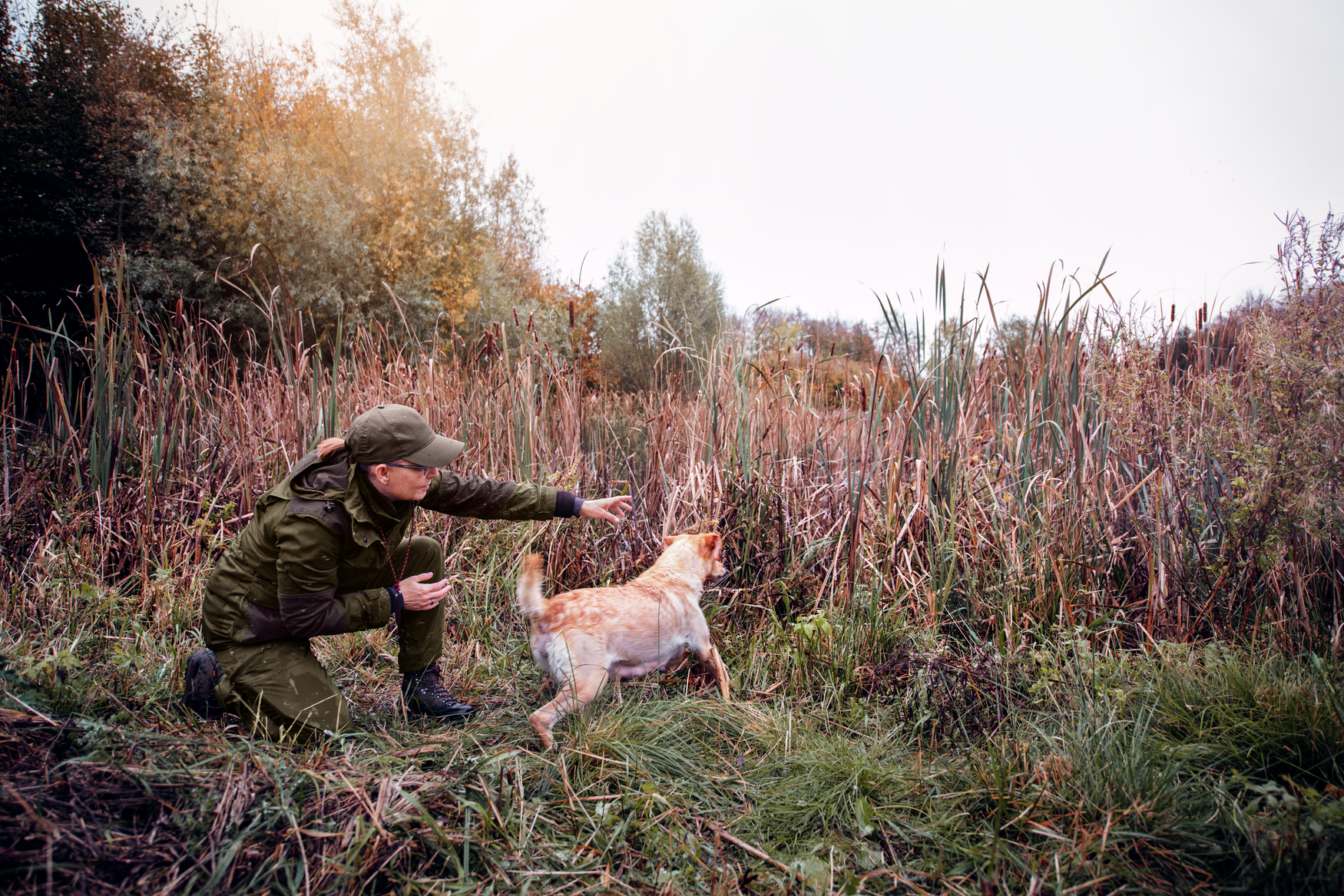 Veste  Key-Point Lady - Pine green