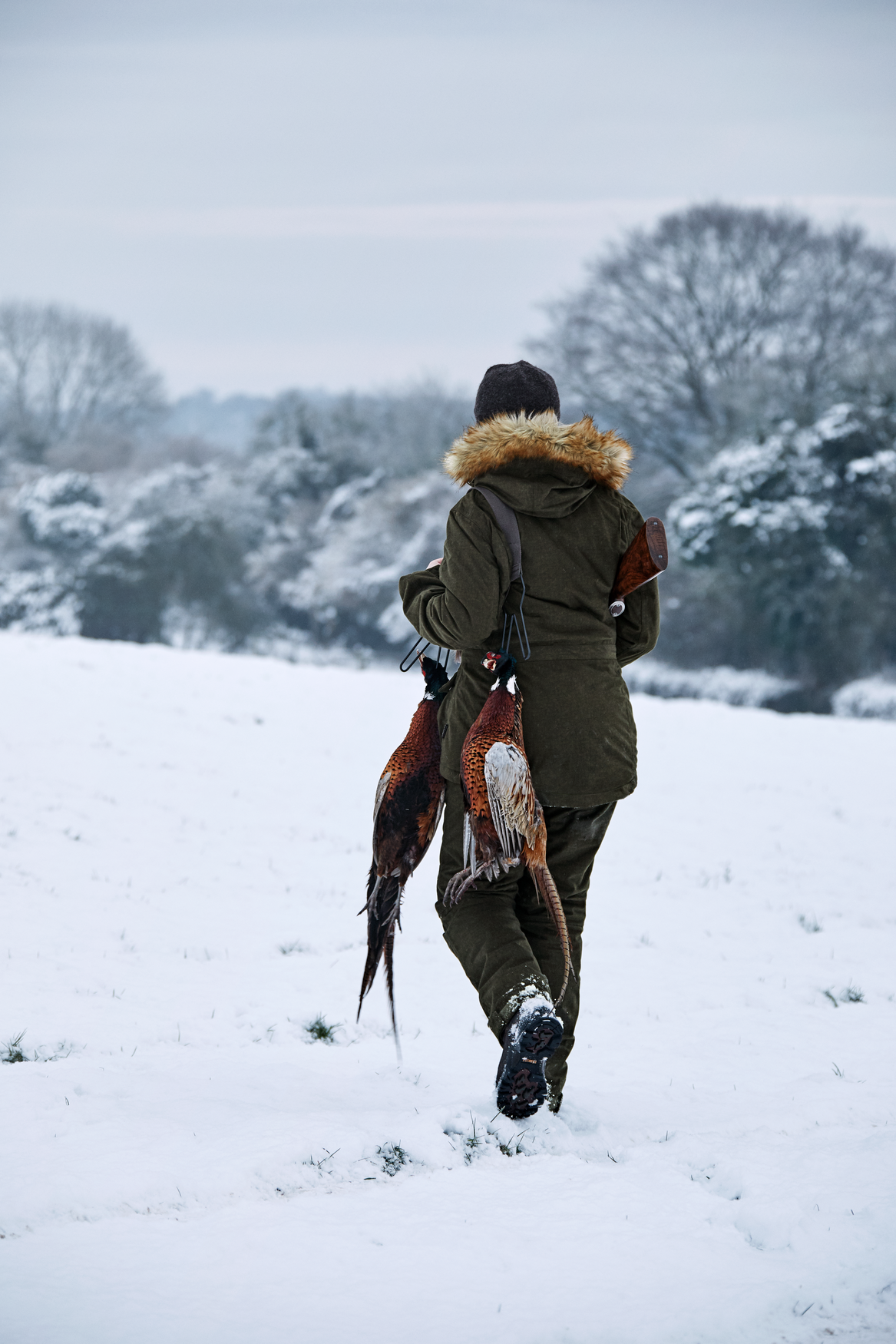 North Lady jacket - Pine green