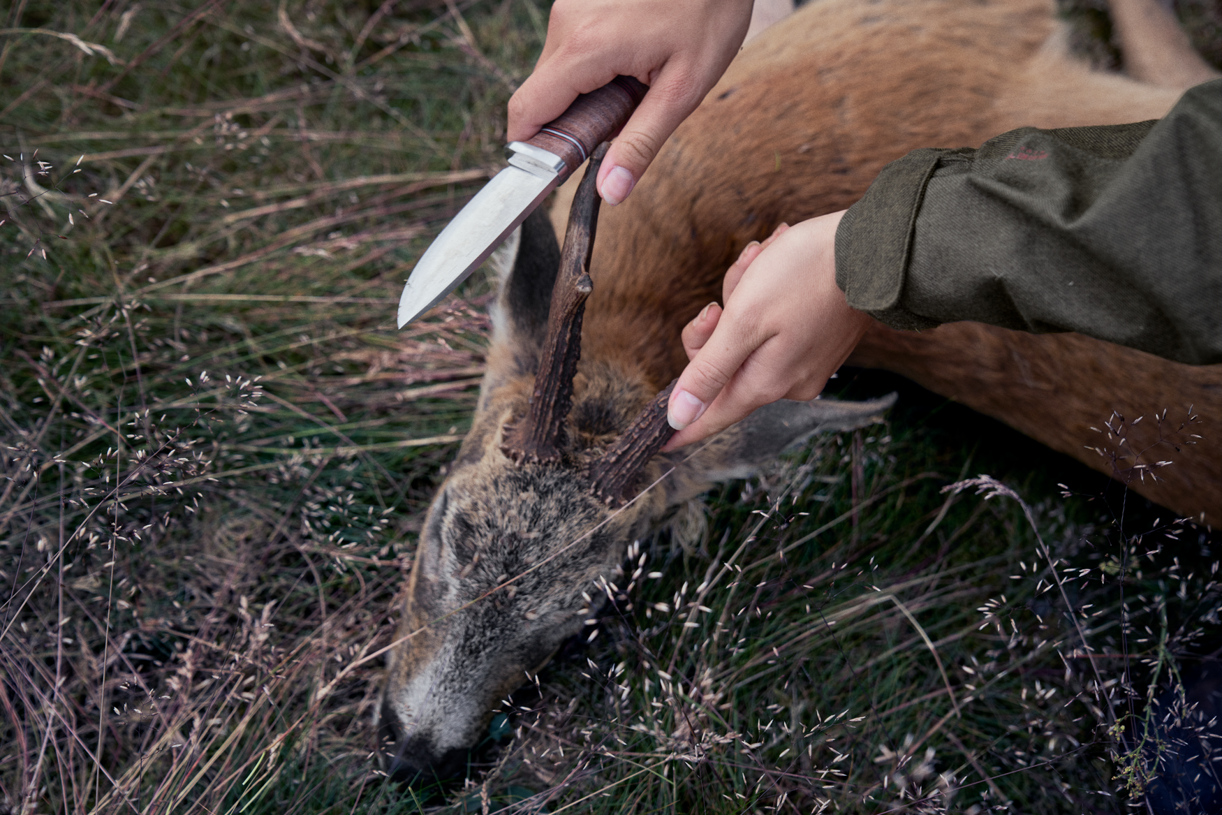 Avail jakke Women - Pine green melange
