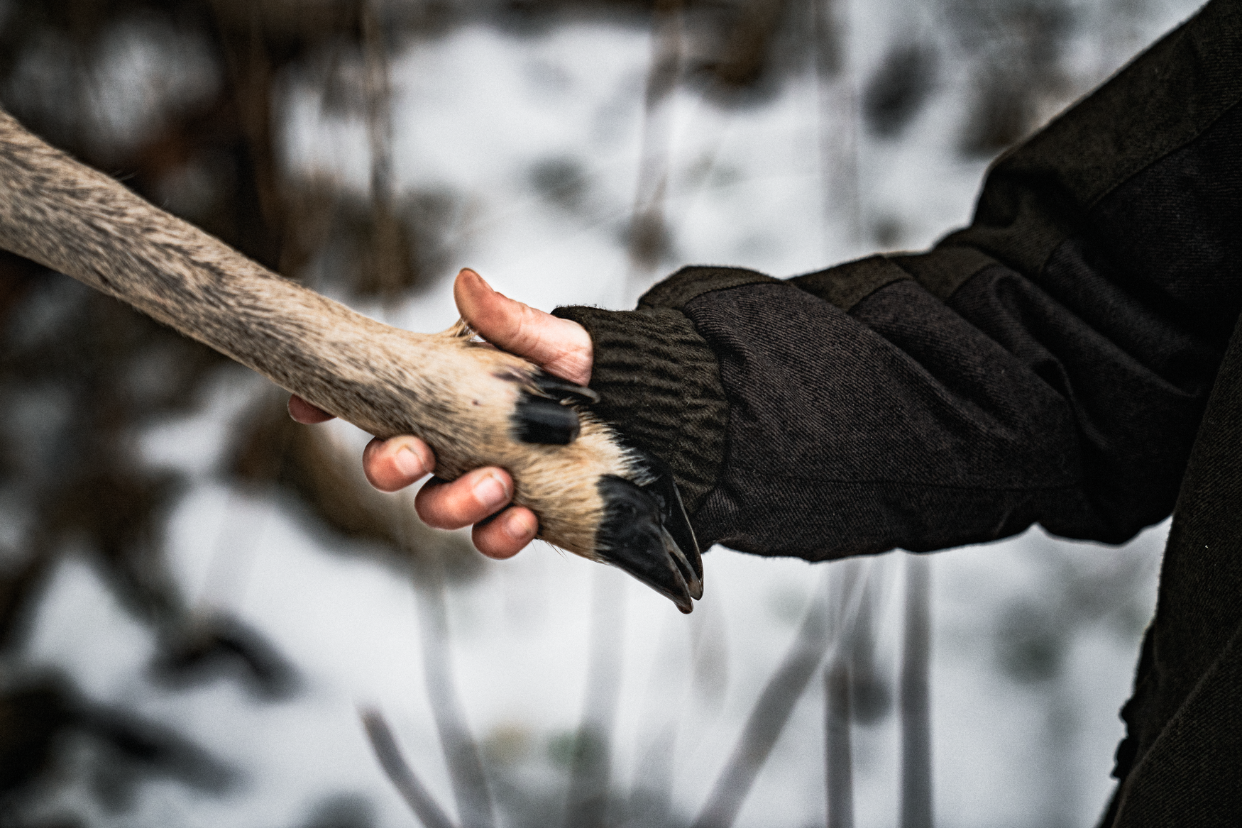 Avail Junior Jacket - Pine green melange