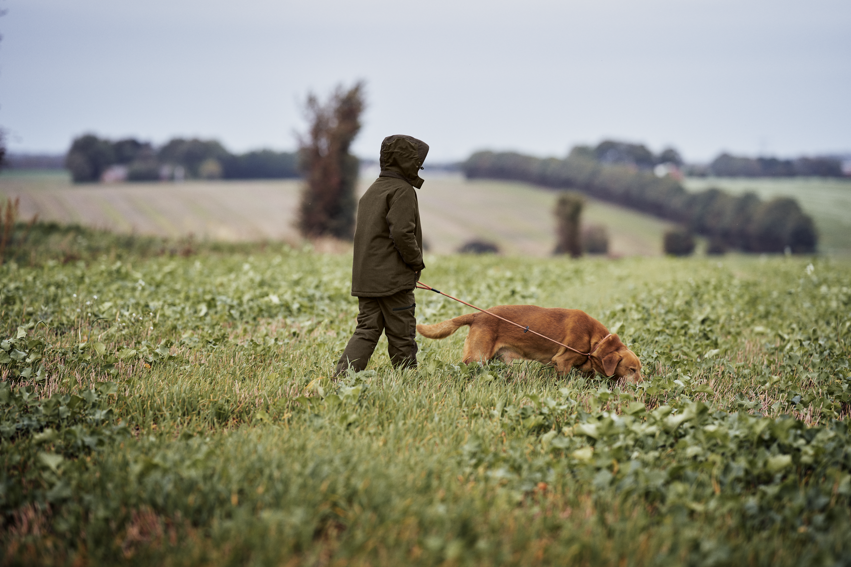 Avail Junior Jacket - Pine green melange